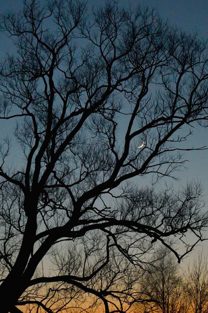 Photograph by Лена Андрианова