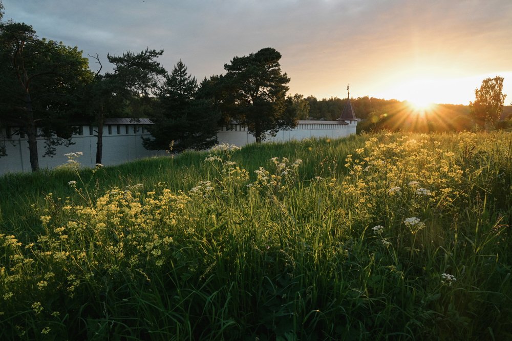 Photograph by Лена Андрианова