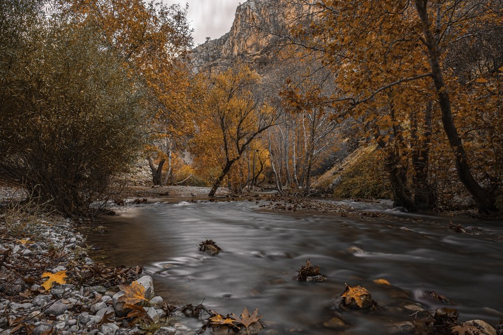 Photograph by Hazhir Osmanzadeh