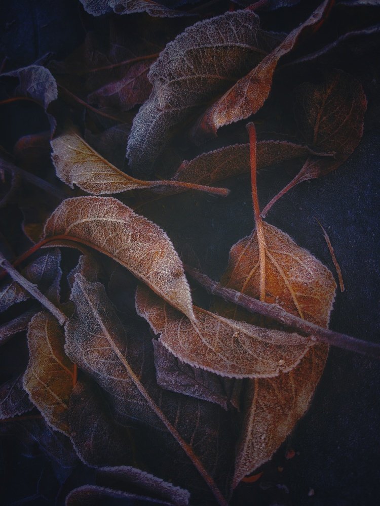 Photograph by Хачик Аджатян