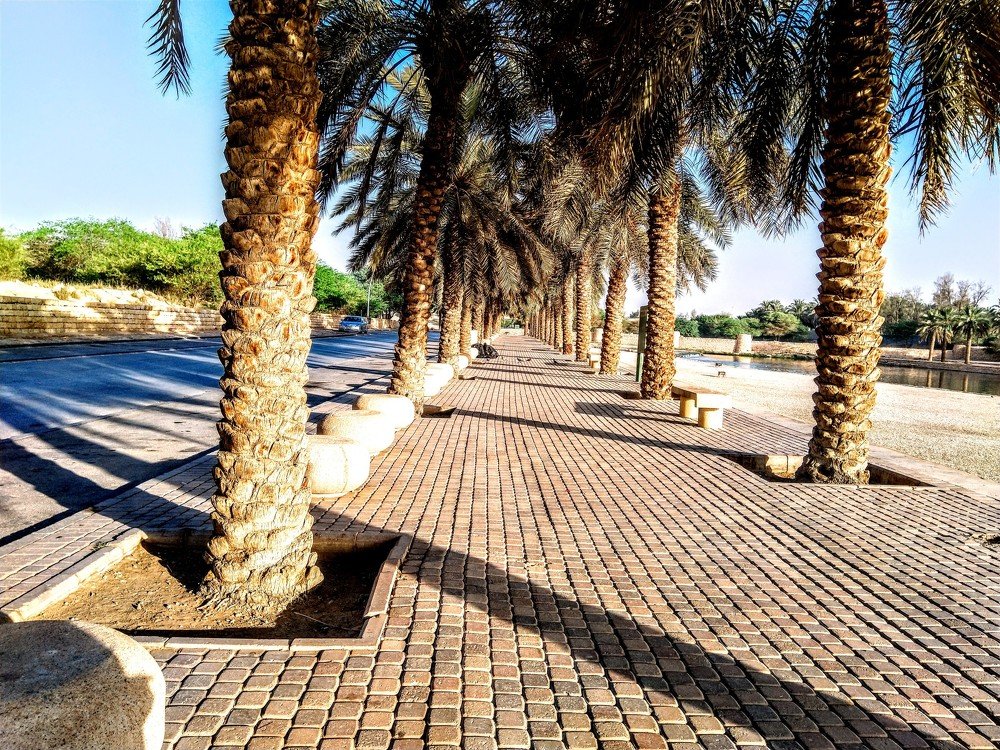 Фотография автора Jayed Wahib Ul Malik