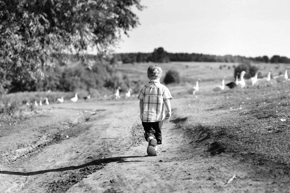 Photograph by Надежда Недашковская