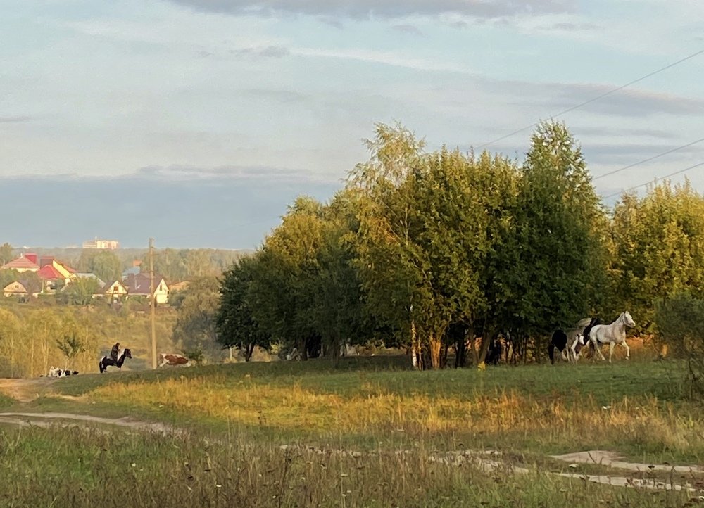 Photograph by Надежда Недашковская