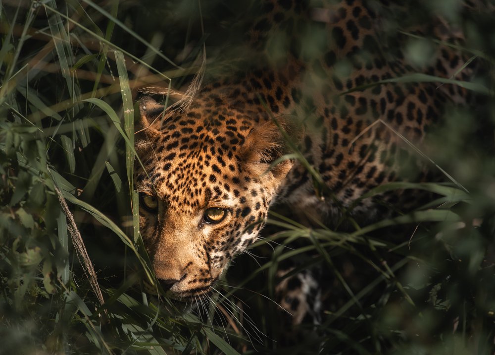 Photograph by Iris Lara