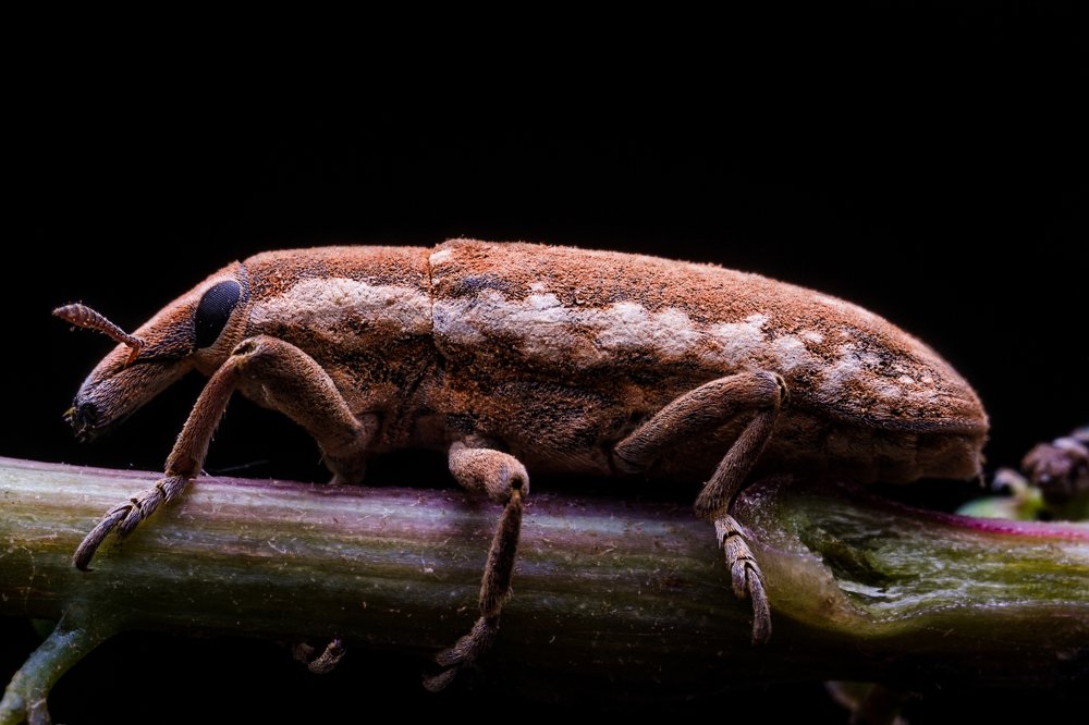 Photograph by Сергей Алтуфьев