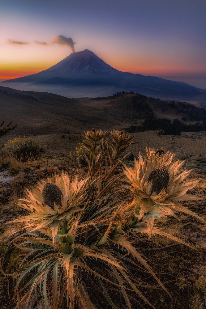 Фотография автора Felipe Heli Pérez Almonte