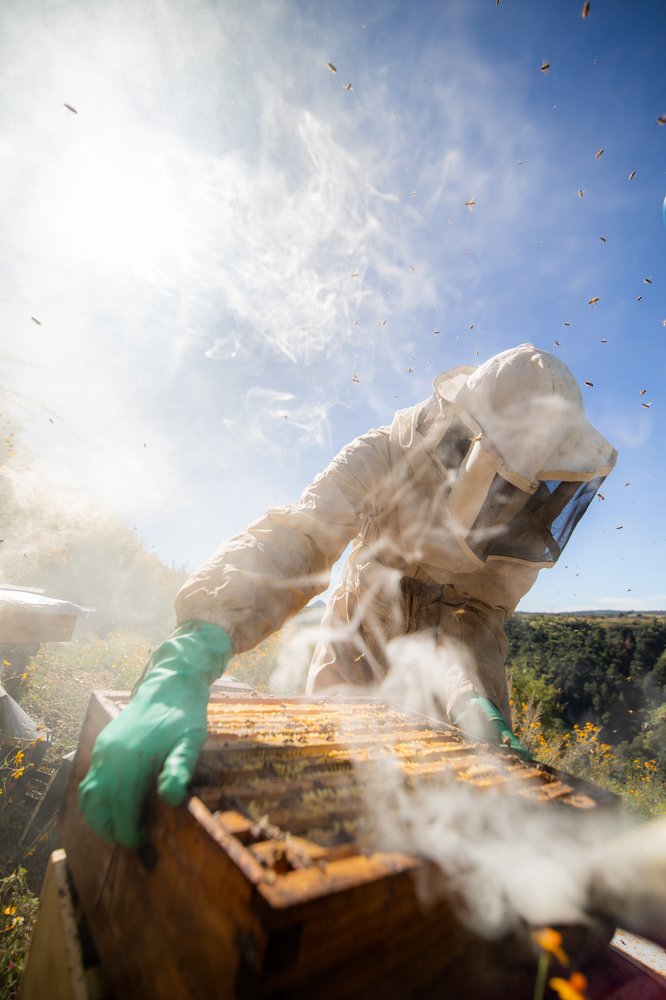Фотография автора Felipe Heli Pérez Almonte