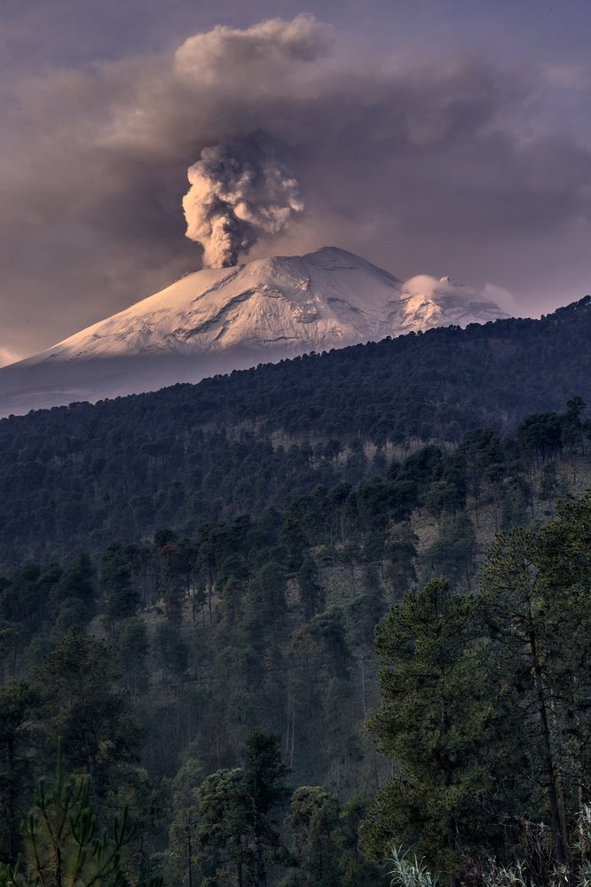 Фотография автора Felipe Heli Pérez Almonte
