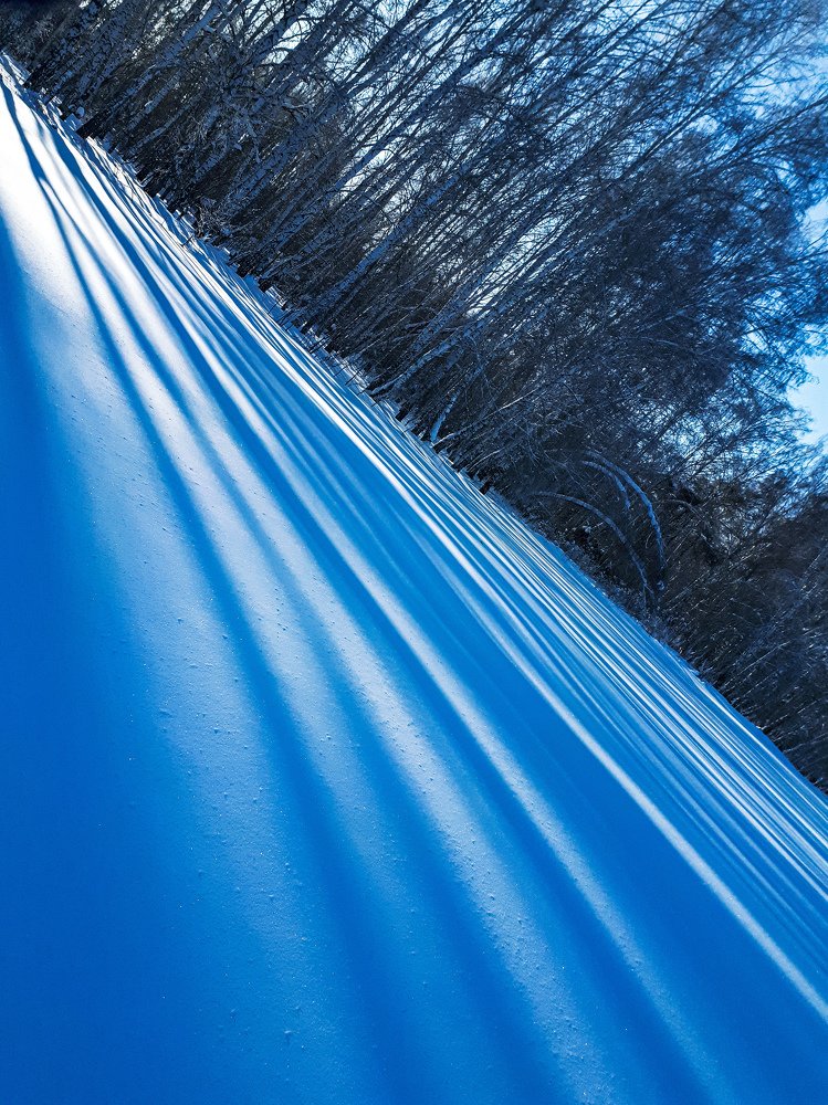 Photograph by Анна Кабиева