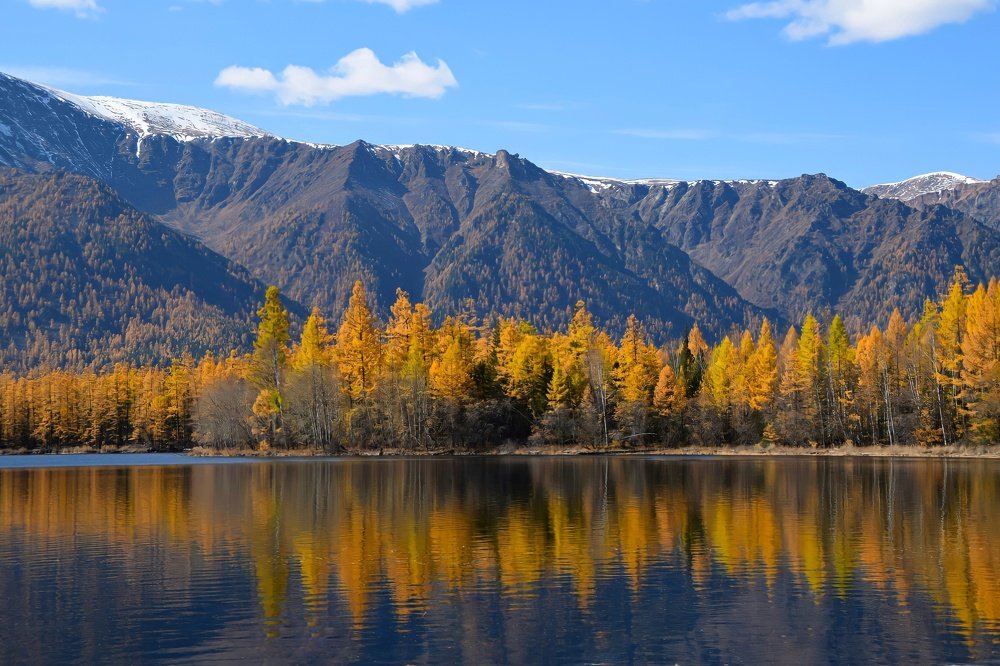 Photograph by Марина Корреа Ластра