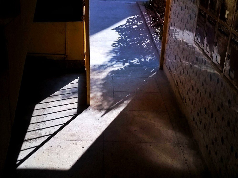 Photograph by SANCHARI SEN