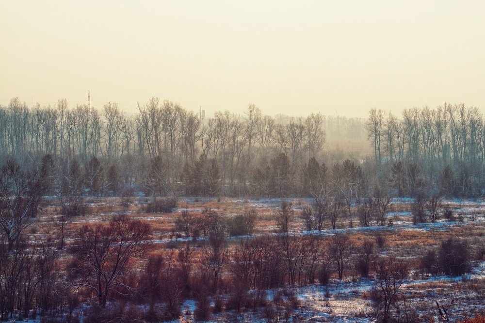 Photograph by Наталья Горбачева