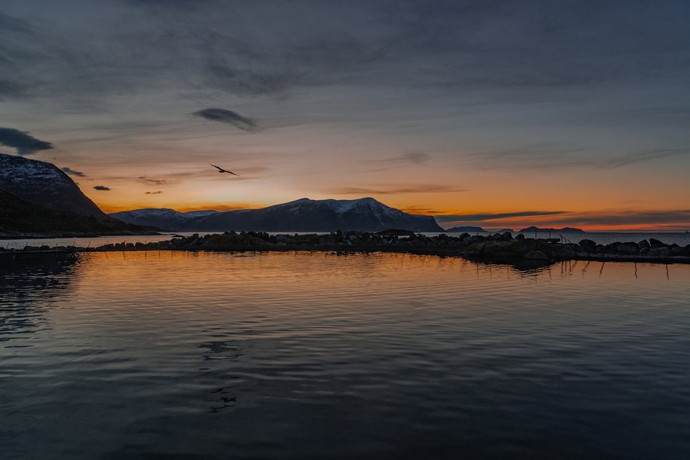 Photograph by Любовь Белявцева