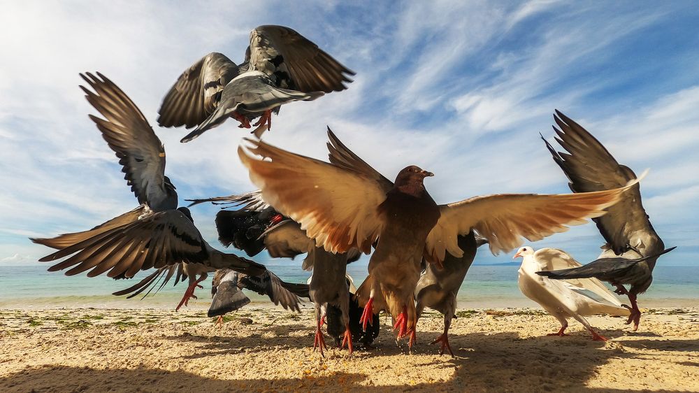 Photograph by Andrey