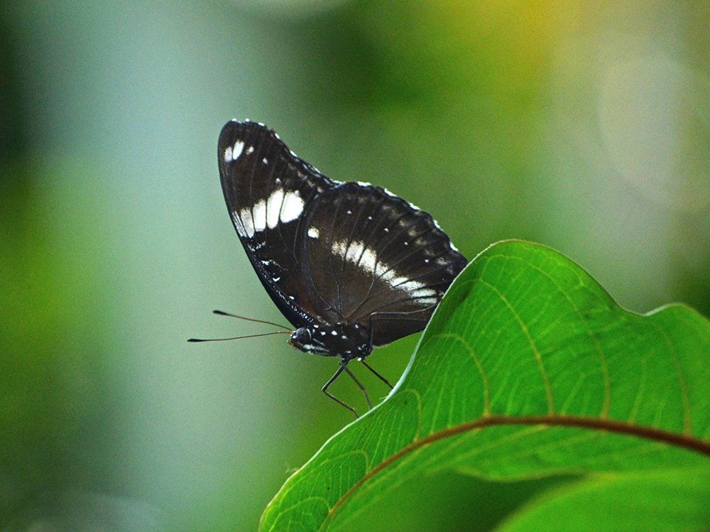 Photograph by Liliana Grup