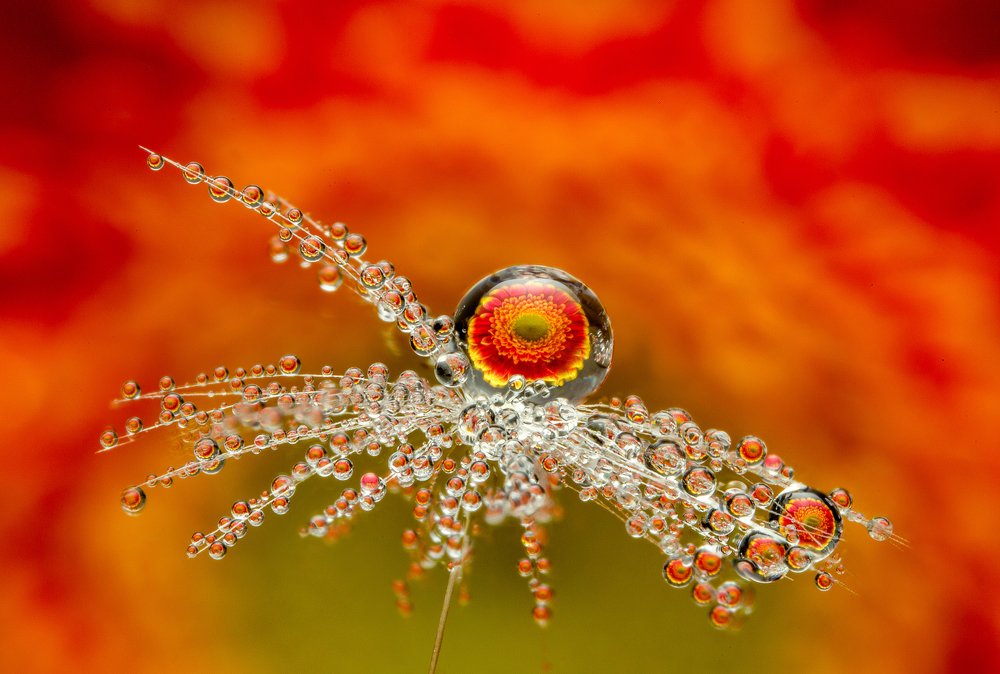 Photograph by Иван Радьков