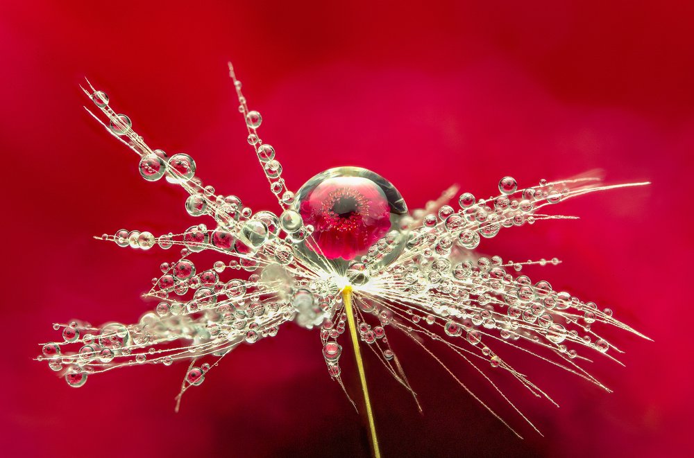 Photograph by Иван Радьков