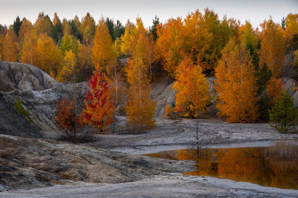 Photograph by Алёна Ивочкина