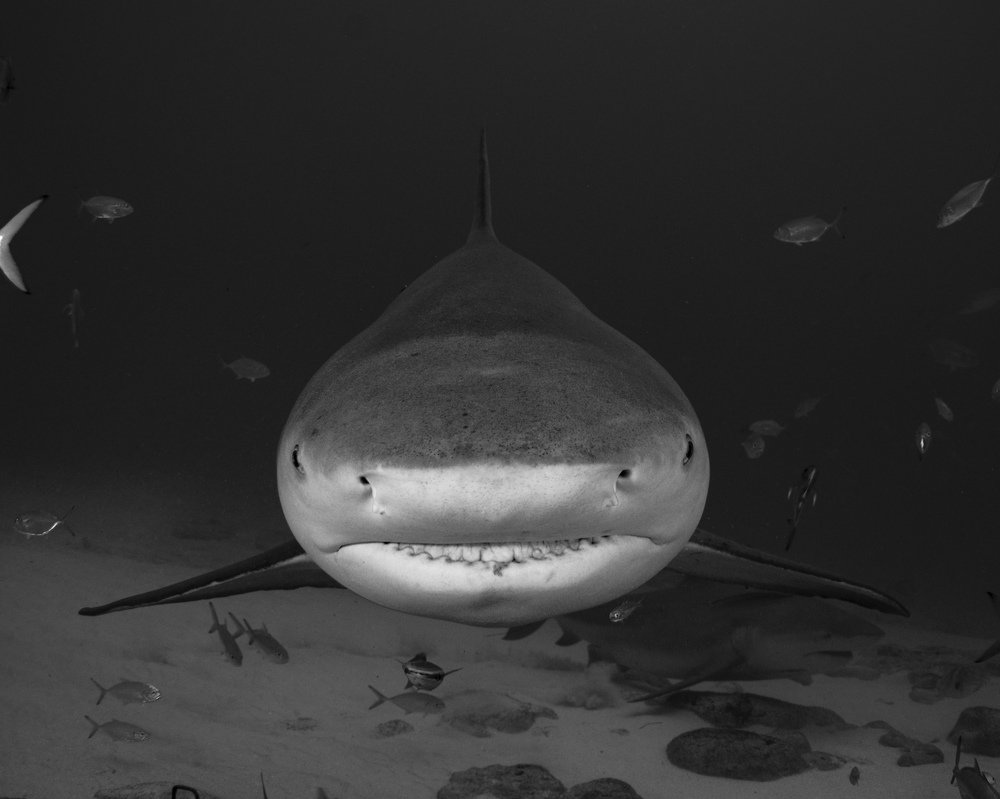 Photograph by Mizael Palomeque