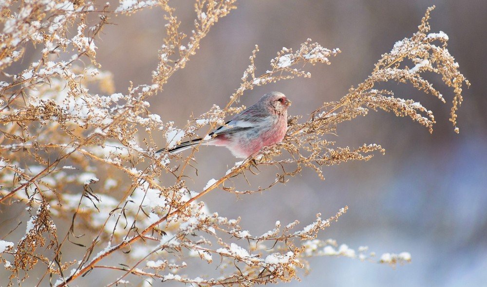 Photograph by Александр Канцур