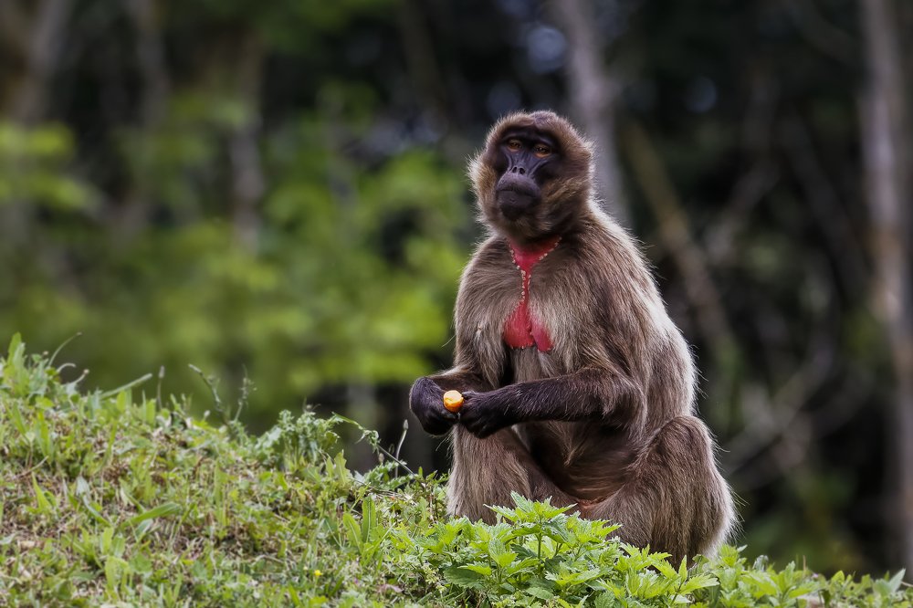 Photograph by Marie-george Lavaurs