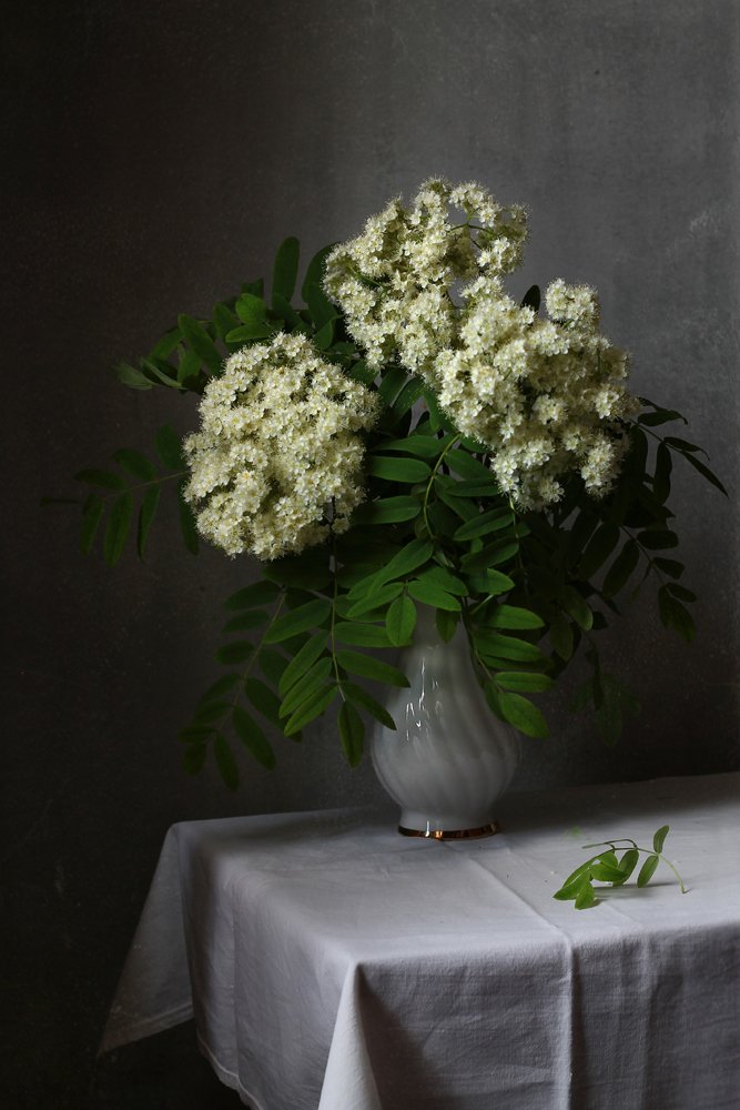 Рябиновый цвет