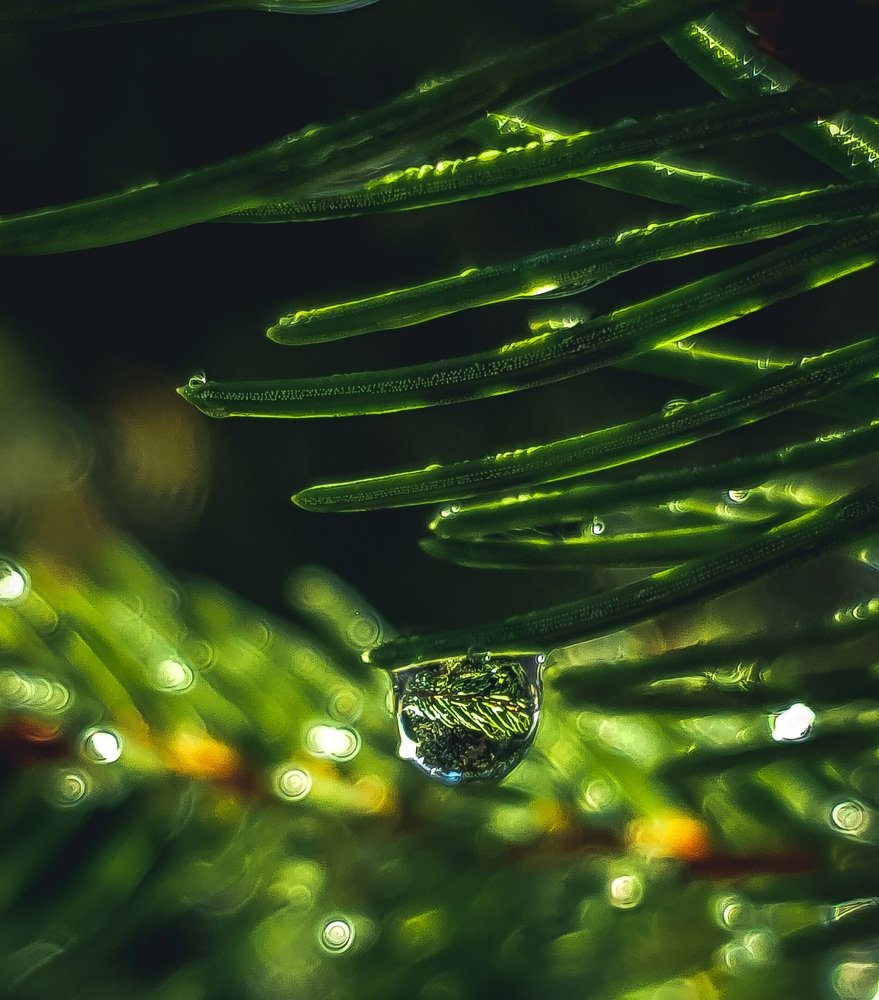 Photograph by Елена Власова