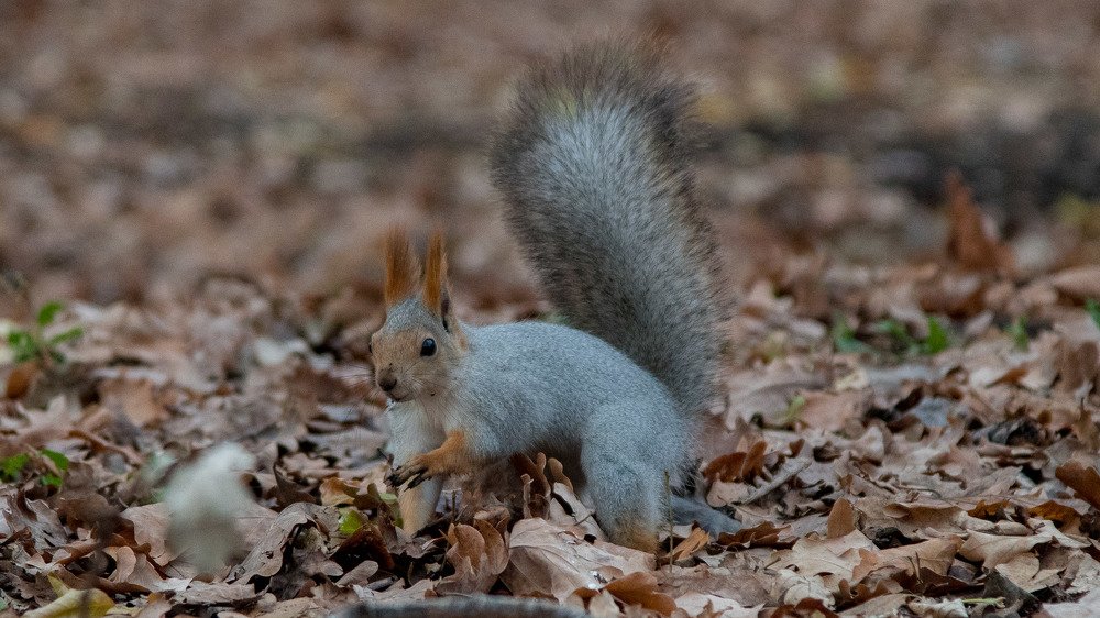 Photograph by Андрей Захаров