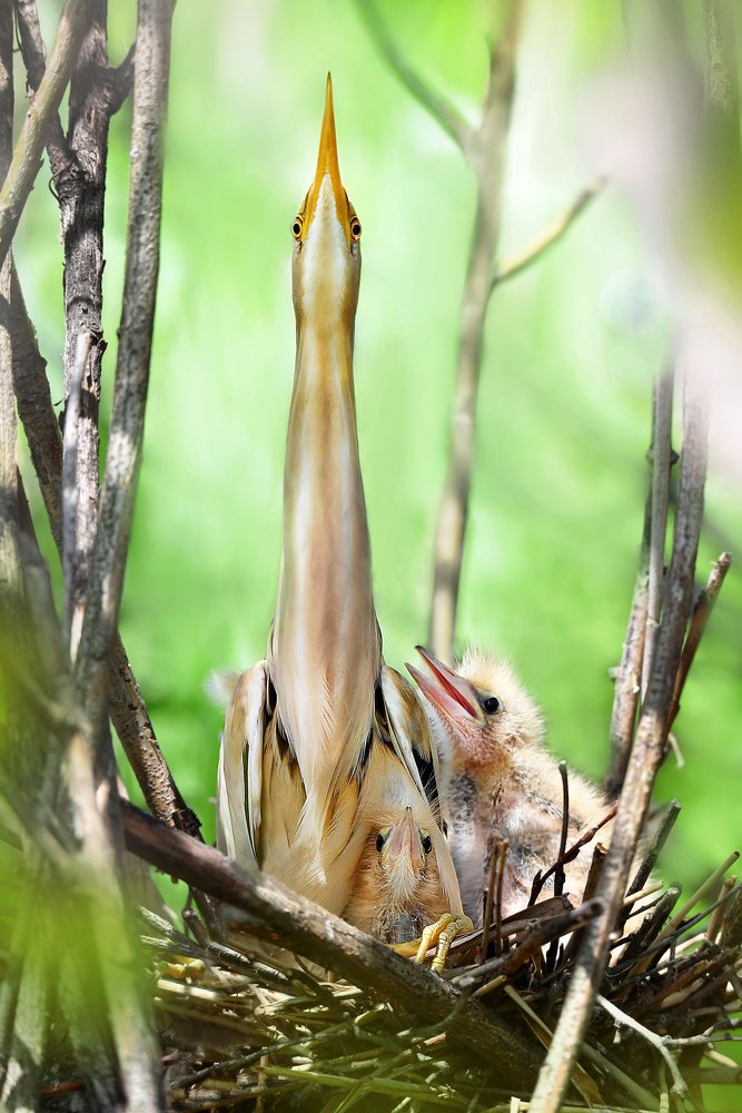 Photograph by Чернобай Анна