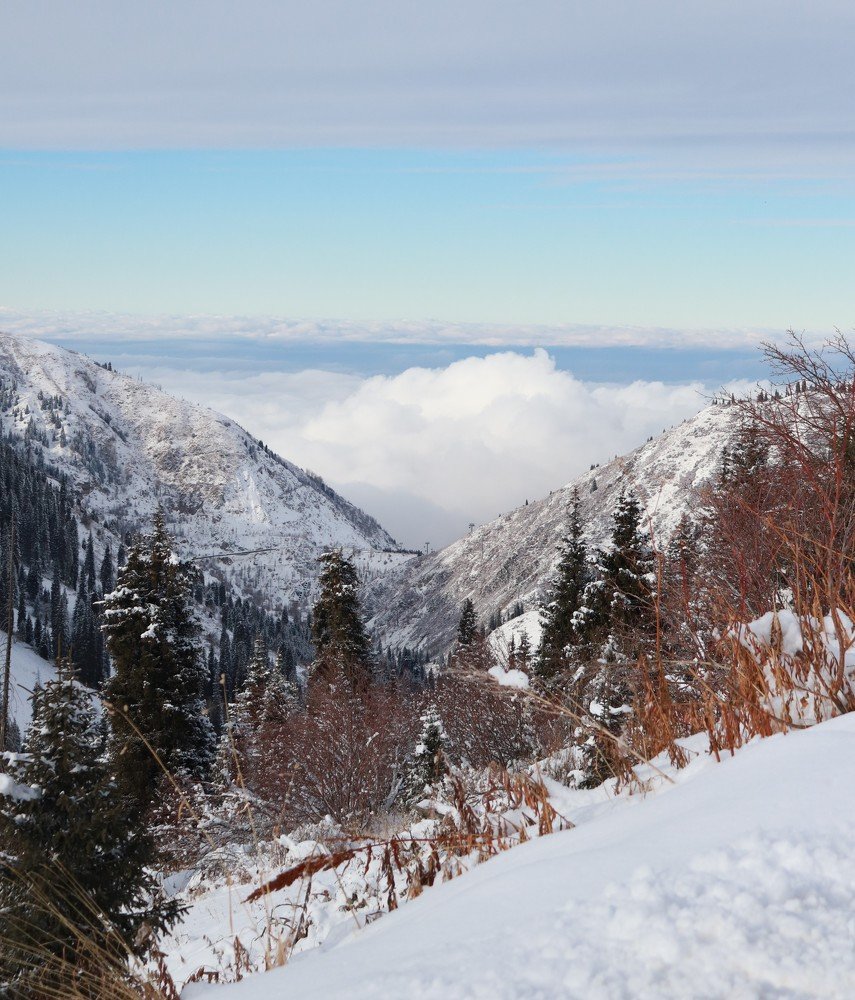 Photograph by Элина Купцова