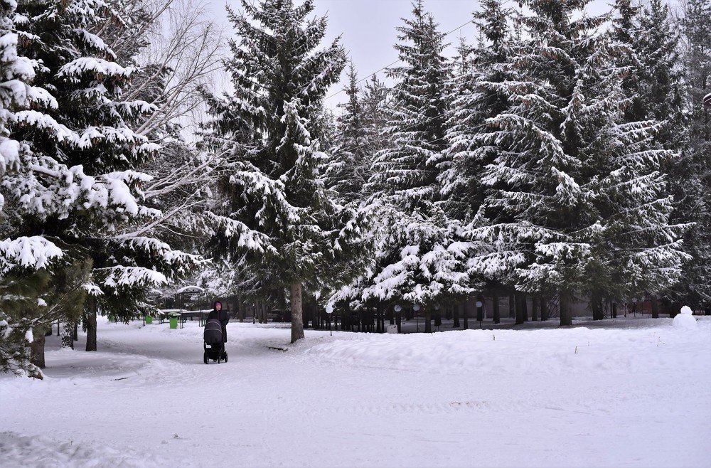 Photograph by Марина Шевцова