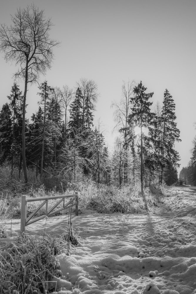 Photograph by Maria Filatova