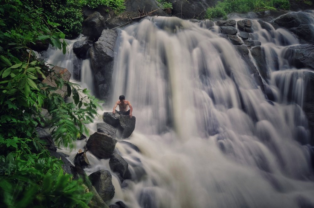 Photograph by  Honest