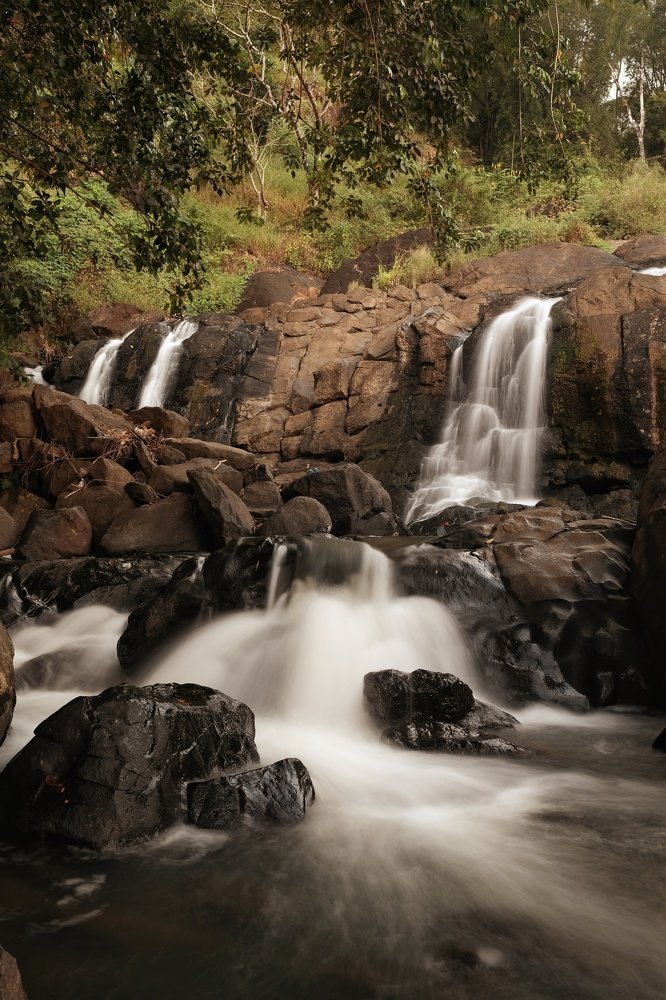 Photograph by  Honest