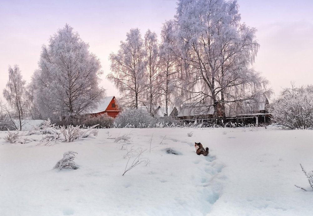 Photograph by Margarita