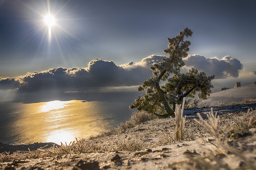 Photograph by Альбина Колодяжная