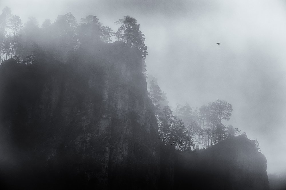 Фотография автора Refat Mamutov