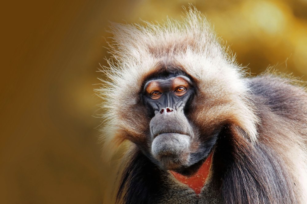 Photograph by Marie-george Lavaurs