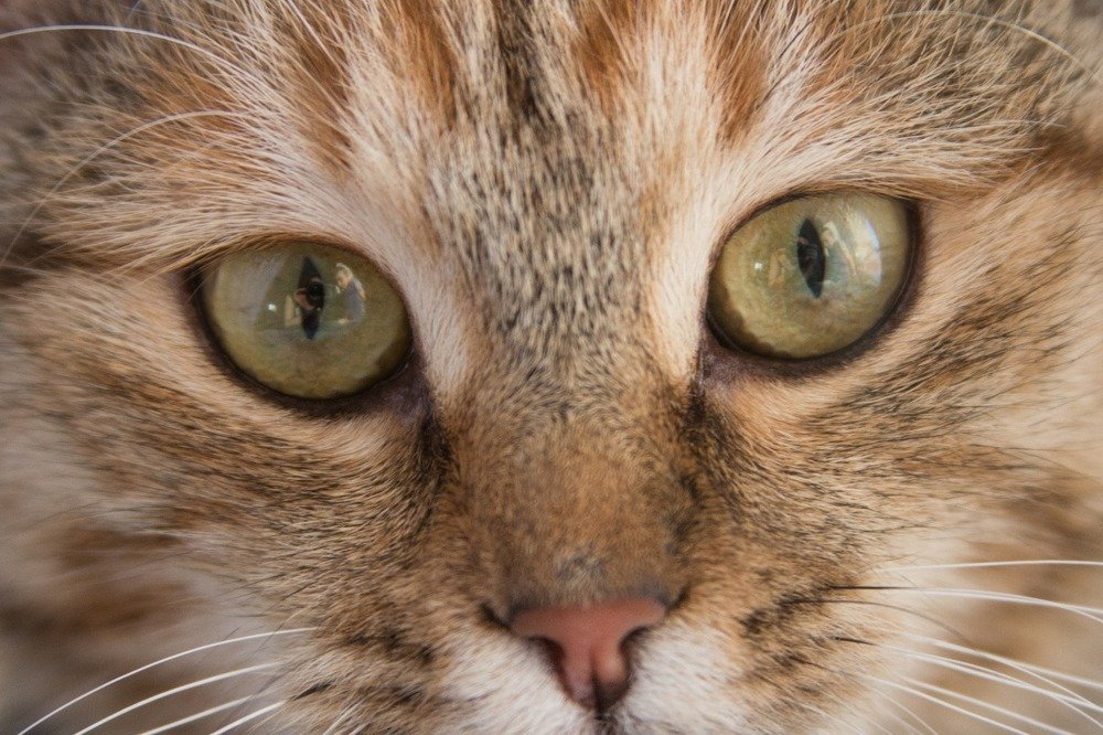 Photograph by Виктория Суркова