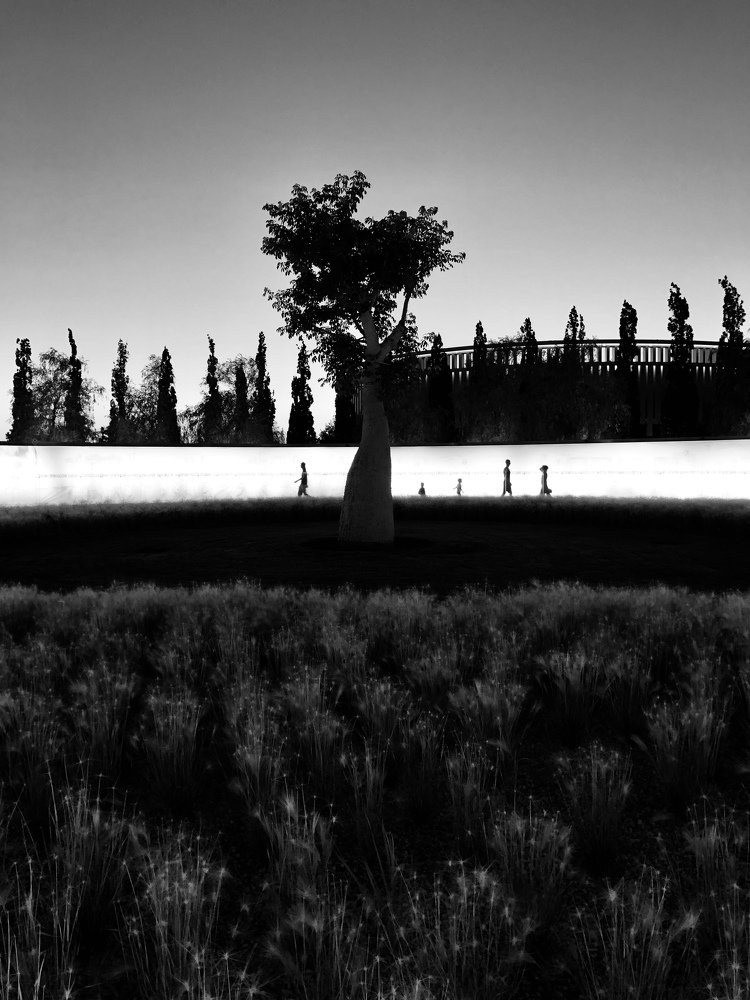 Photograph by Оля Лукаш