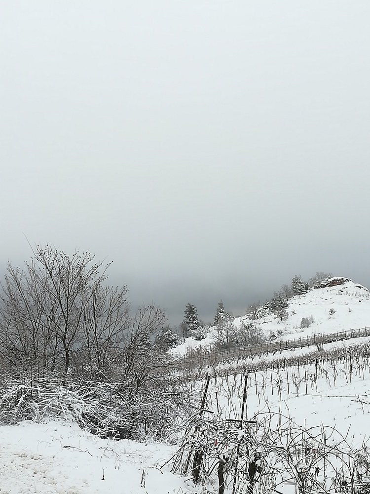 Фотография автора KONSTANTINOS KOUTCHIAS