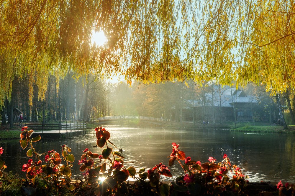 Photograph by Евгений Хитрук