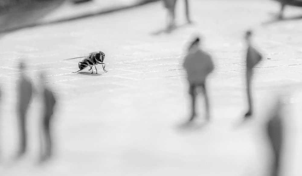 Photograph by Ольга