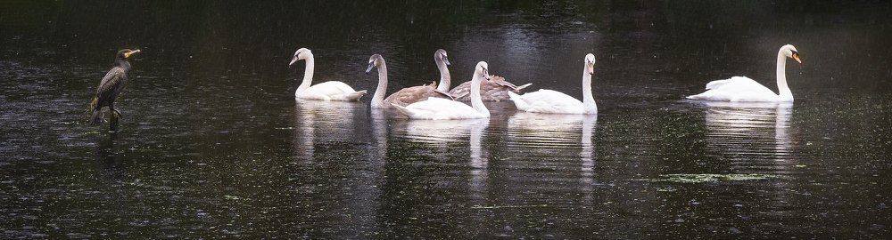 Photograph by Bernd Harnisch