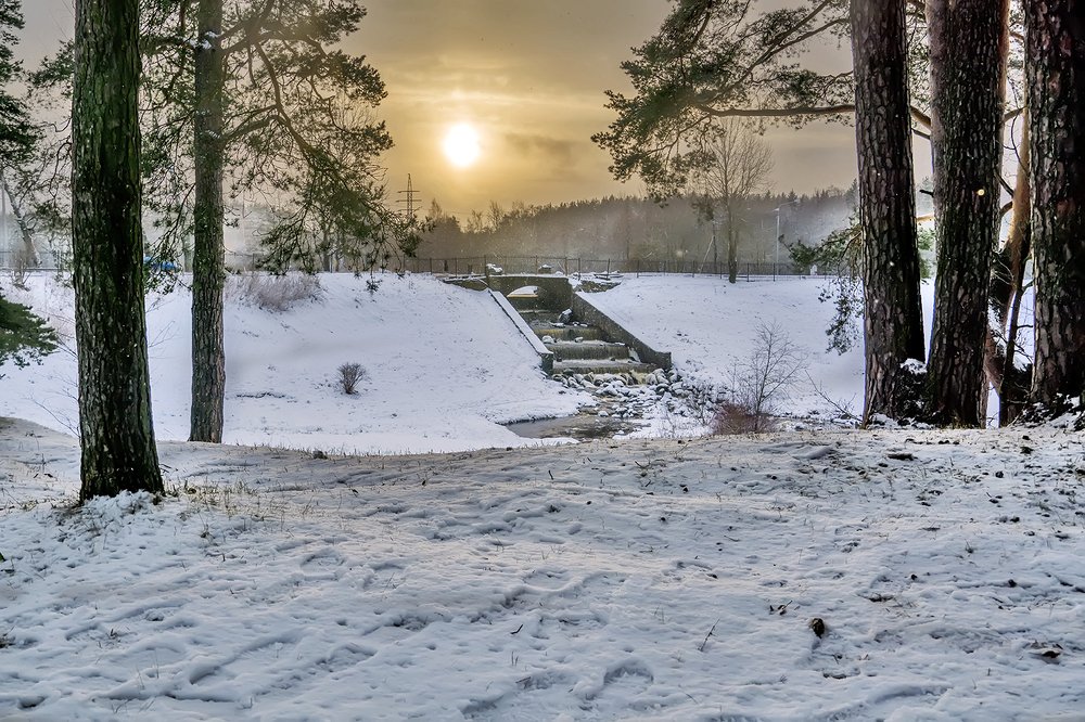 Photograph by Елена Белькова