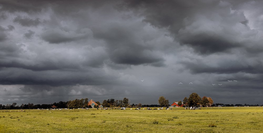 Photograph by Bernd Harnisch