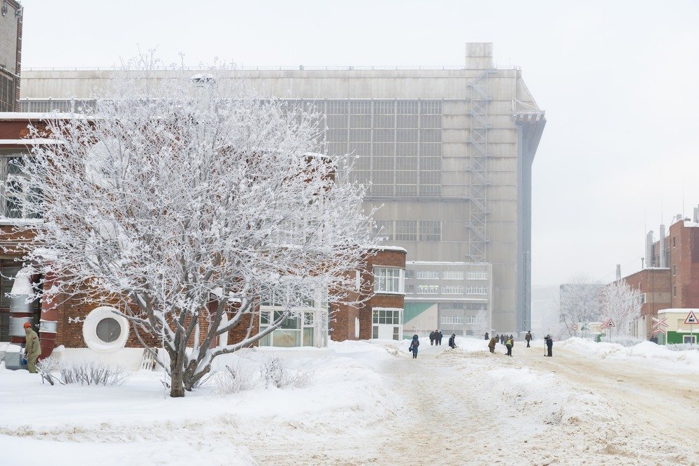 Зимний день