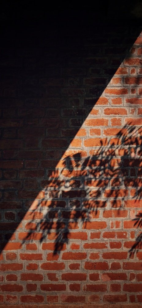 Фотография автора Aman Vishnu