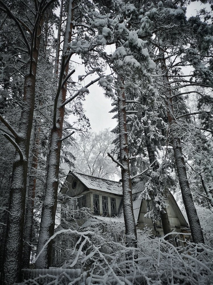 Photograph by Надежда Шпуляр