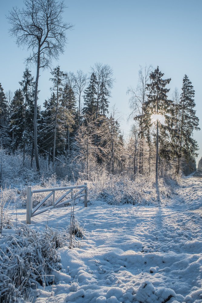 Photograph by Maria Filatova